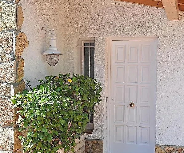 Cherry * Lloret de Mar