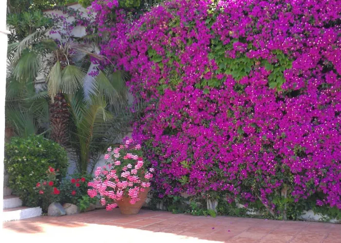 Cherry Tatil Evi Lloret de Mar